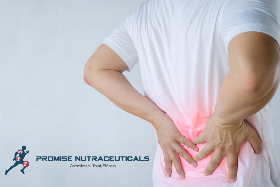 CBD for Back Pain